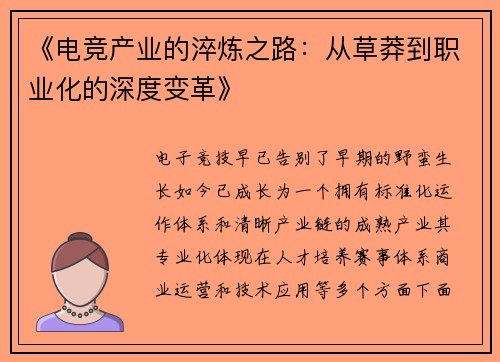 《电竞产业的淬炼之路：从草莽到职业化的深度变革》